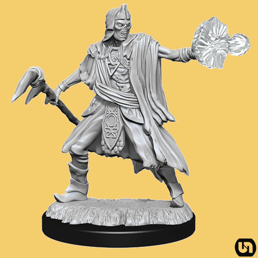 Wizkids Dungeons & Dragons: Nolzur's Marvelous Miniatures Wave 15 - Allip & Deathlock