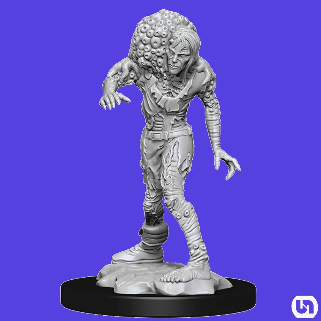 Wizkids Dungeons & Dragons: Nolzur's Marvelous Miniatures Wave 14 - Drowned Assasin & Drowned Ascetic