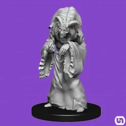 Wizkids Dungeons & Dragons: Nolzur's Marvelous Miniatures Wave 14 - Night Hag & Dusk Hag