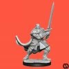 Wizkids Dungeons & Dragons: Nolzur's Marvelous Miniatures Wave 15 - Half-Orc Paladin