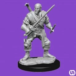 Wizkids Dungeons & Dragons: Nolzur's Marvelous Miniatures Wave 15 - Human Bard Male