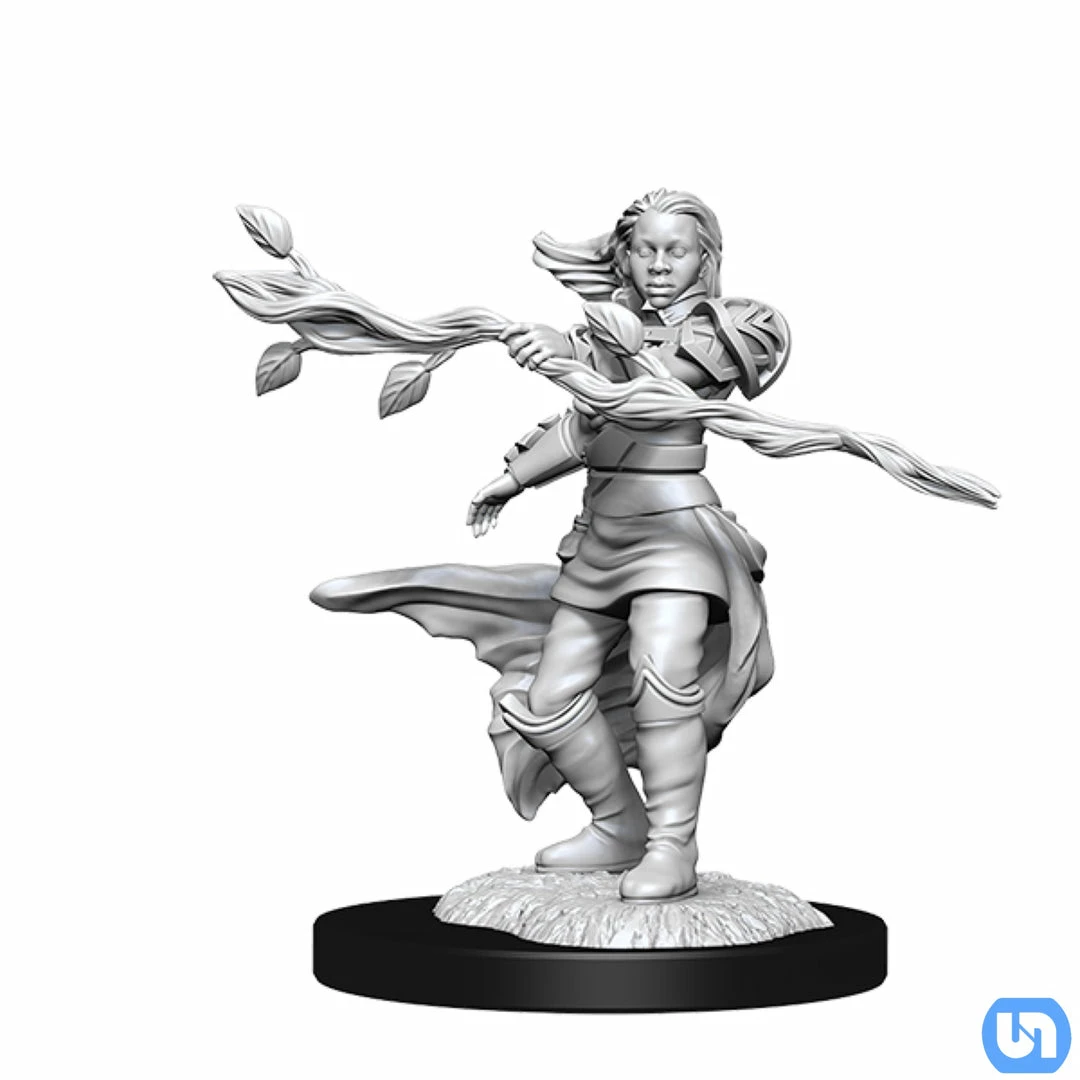 Wizkids Dungeons & Dragons: Nolzur's Marvelous Miniatures Wave 14 - Human Druid Female