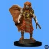 Wizkids Dungeons & Dragons: Icons Of The Realms Premium Miniatures - Human Druid Male