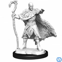 Wizkids Dungeons & Dragons: Nolzur's Marvelous Miniatures Wave 14 - Human Druid Male