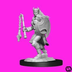 Wizkids Dungeons & Dragons: Nolzur's Marvelous Miniatures Wave 14 - Kalashtar Cleric