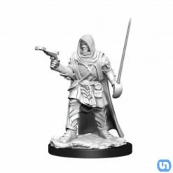Wizkids Pathfinder: Battles Deep Cuts Wave 13 - Male Human Rogue