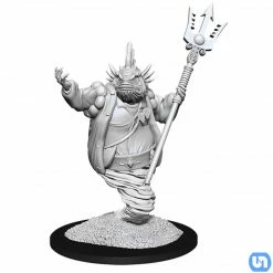 Wizkids Dungeons & Dragons: Nolzur's Marvelous Miniatures Wave 14 - Marid