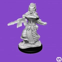 Wizkids Dungeons & Dragons: Nolzur's Marvelous Miniatures Wave 14 - Night Hag & Dusk Hag