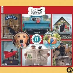 CEACO Company Ron Schmidt: 8 In 1 Puzzle Set Toys & Figures