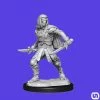 Wizkids Dungeons & Dragons: Nolzur's Marvelous Miniatures Wave 14 - Warforged Rogue