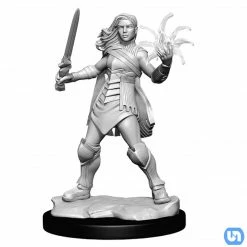 Wizkids Magic The Gathering: Unpainted Miniatures Wave 3 - Rowan & Will Kenrith Magic: The Gathering