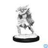Wizkids Dungeons & Dragons: Nolzur's Marvelous Miniatures Wave 15 - Winter Eladrin & Spring Eladrin